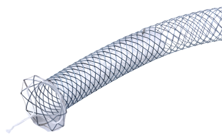 Biliary Giobor Stent