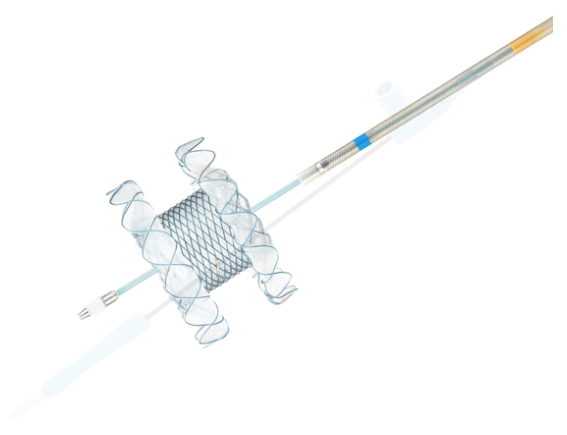 Biliary Spaxus Hot Stent