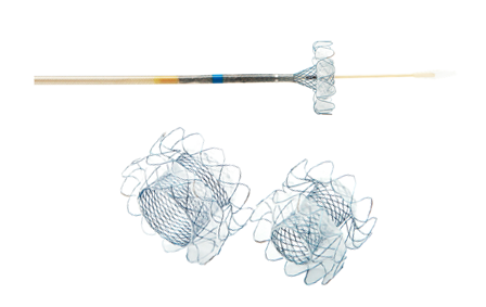 Biliary Spaxus Stent